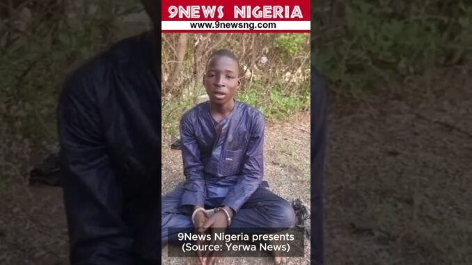 Troops arrest teen ISWAP courier in Borno