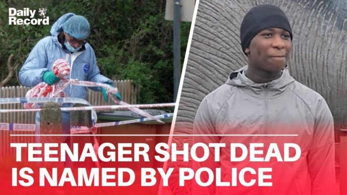 Teen suspect charged in Eghosa Ogbebor murder