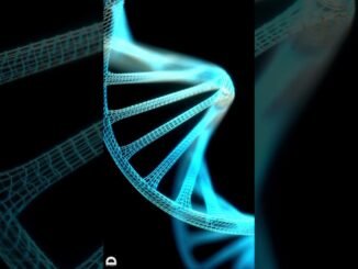 Nigerian couple shocked by DNA results