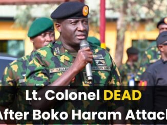 Seven Soldiers and Colonel killed in Monguno attack