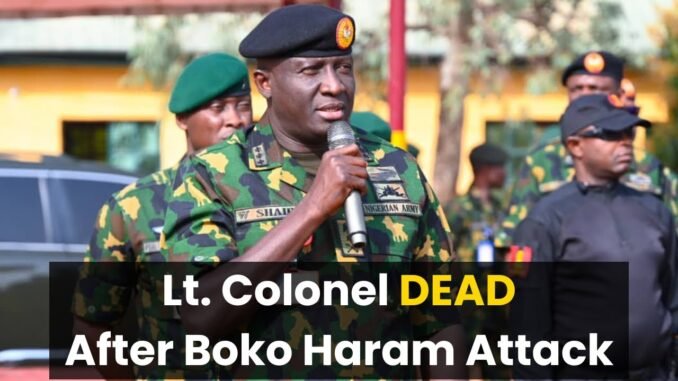 Seven Soldiers and Colonel killed in Monguno attack