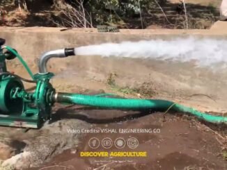 Girl caught stealing water pump