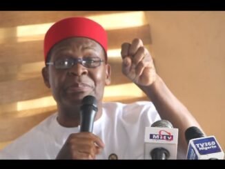 South West thrives while other regions struggle- Joe Igbokwe