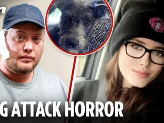 Father begs to destroy dog after daughter's death