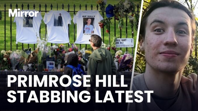 Man charged over film student's death