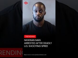 Nigerian Man Accused in Fatal Attack