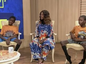Nigerian broadcaster speaking on TV