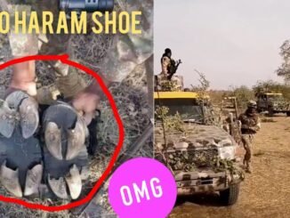 Nigerian troops escort Boko Haram suspects
