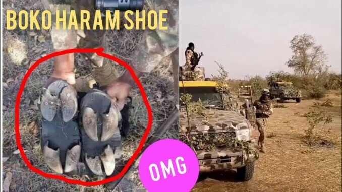 Nigerian troops escort Boko Haram suspects