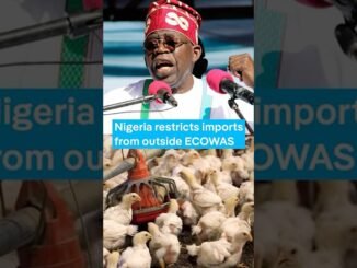 FG Restricts Cement, Poultry Feed, Pharma Imports