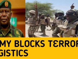 Troops arrest ISWAP courier in Borno
