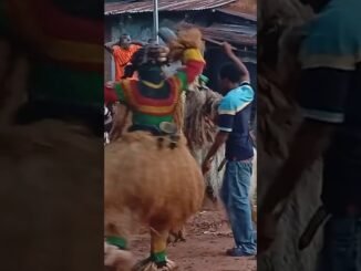 Delta festival assault scene