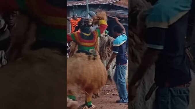 Delta festival assault scene