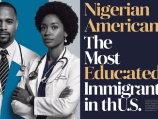 Nigerian-American education success
