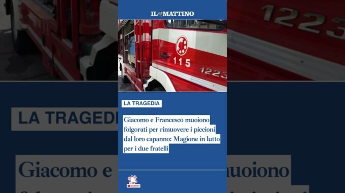 Twins electrocuted saving pigeon