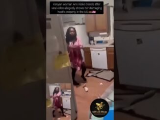 Kenyan woman damages property USA