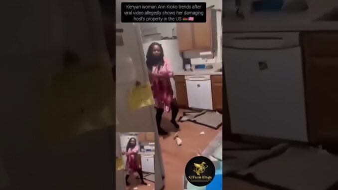 Kenyan woman damages property USA