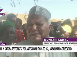 Terror Attack in Katsina Claims Butchers Leader, Vigilante Member