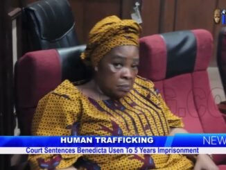 Borno Court Sentences Woman to 5 Years