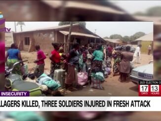 Seven Dead in New Benue Attack