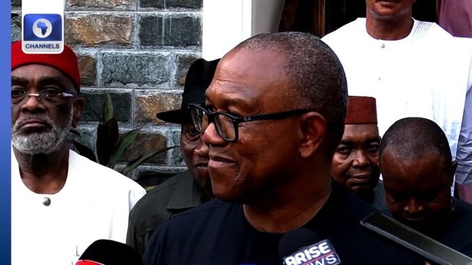 Peter Obi Leads South East Leaders in Visit to Jonathan