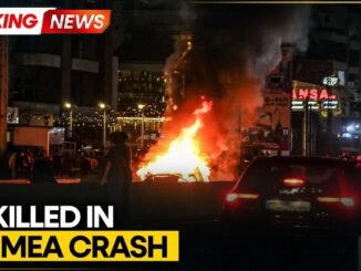 29 lives lost as Russian plane crashes in Crimea