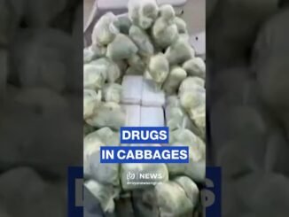 Thailand's biggest drug bust ever