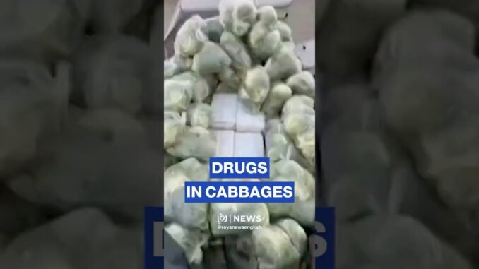 Thailand's biggest drug bust ever