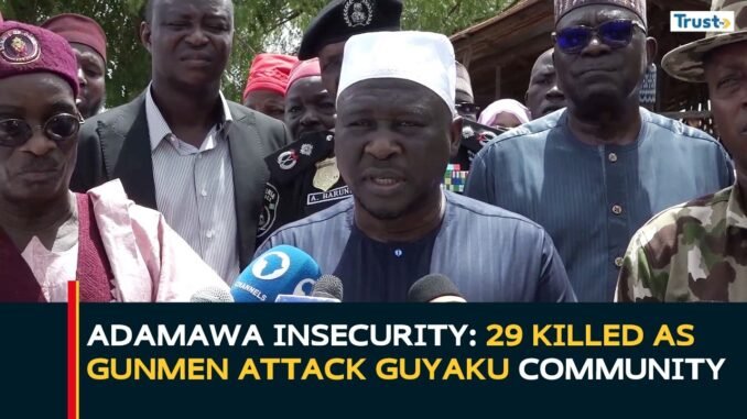 29 villagers killed in Adamawa terror attack