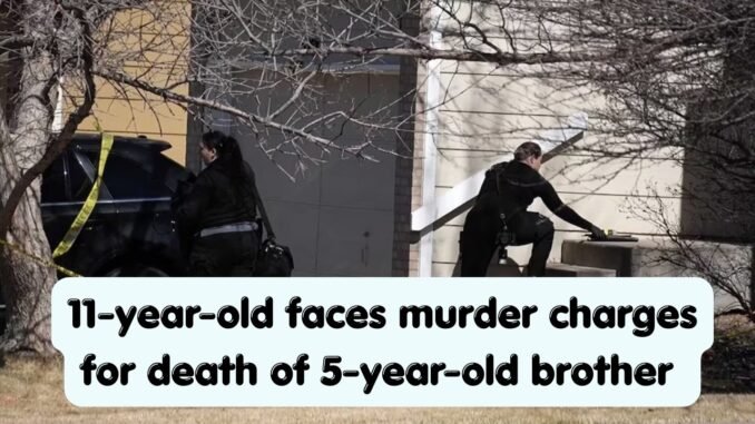 Colorado boy allegedly kills younger brother