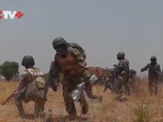 Boko Haram fighter surrenders to troops in Borno