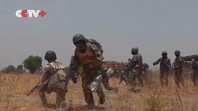 Boko Haram fighter surrenders to troops in Borno