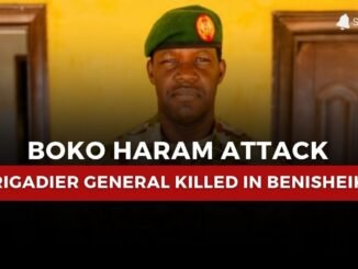 Brigade Commander dies in Boko Haram ambush in Borno