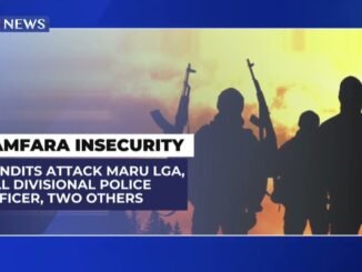 Bandits Kill Medical Officer, Two Police Officer