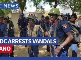 NSCDC arrests 20 foreign nationals in Kano