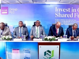 FCMB Capital Markets Limited leads debt deals