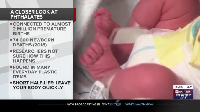 Plastic chemical linked to the deaths of premature births and newborns