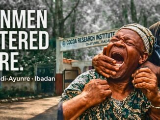 Gunmen abduct two CRIN staff members in Ibadan