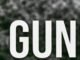 Gunmen abduct two CRIN staff members in Ibadan