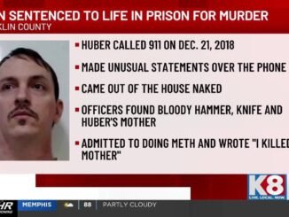 Man sentenced to life for beheading mother