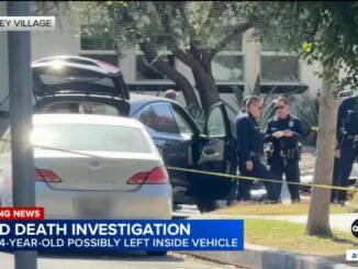 Four-year old girl dies in hot car