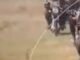 Bandits Kill Two Local Government Officials in Zamfara