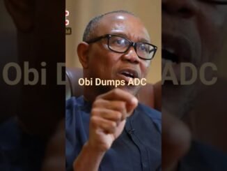 Igbo presidency quest pushed back by Peter Obi leaving ADC