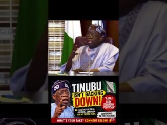 Tinubu vows second term bid