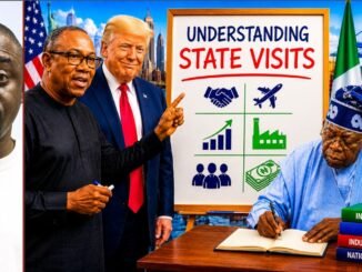Peter Obi on state visits debate