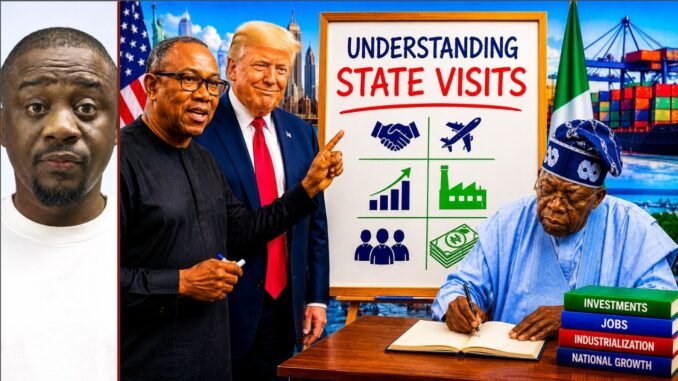 Peter Obi on state visits debate