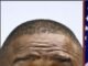 Peter Obi on state visits debate
