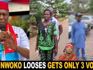 Nwoko gets 3 votes in APC primary