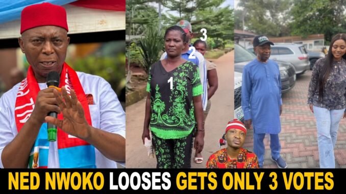 Nwoko gets 3 votes in APC primary