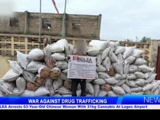 NDLEA arrests woman Lagos airport